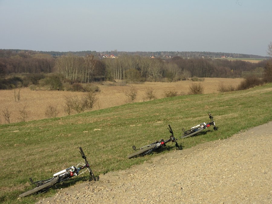Jankowo Młyn - dolina Cybiny