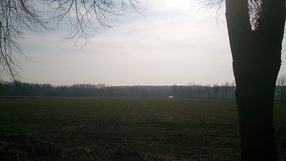 Pola w Osmolicach