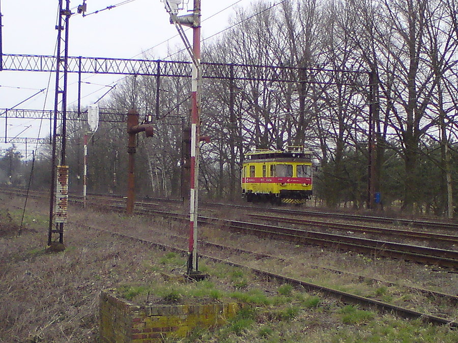 W Karłowicach