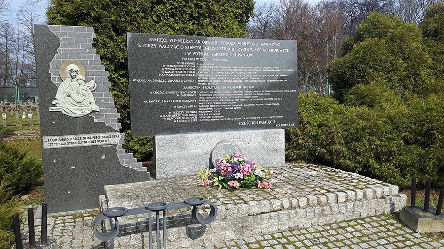 ...Zanim padłeś jeszcze ziemię przeżegnałeś ręką, czy to kula synu, czy to serce pękło?