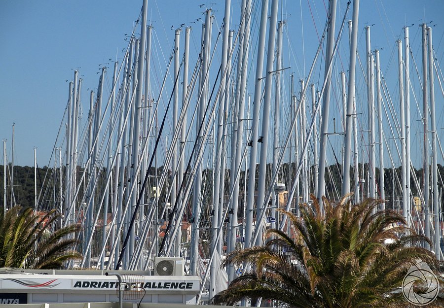 Marina w Biogradzie