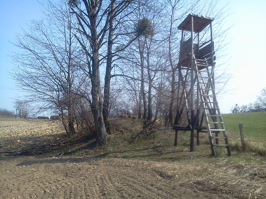 Łopuka