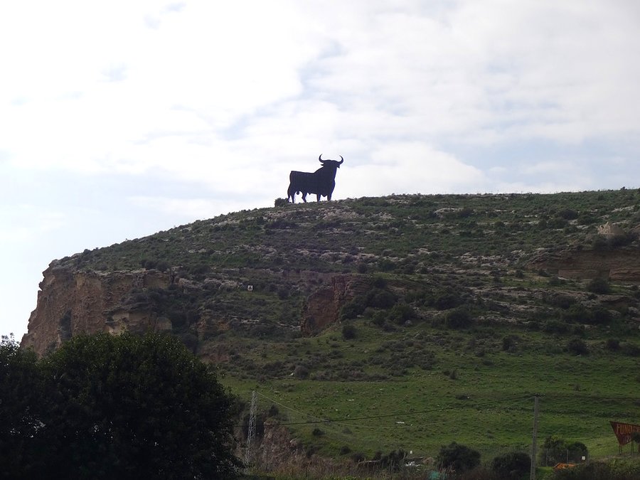 El Torro