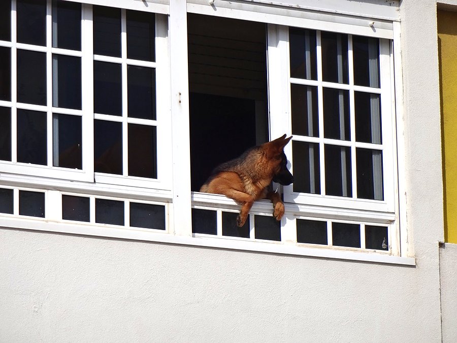 Neighbourhood Police