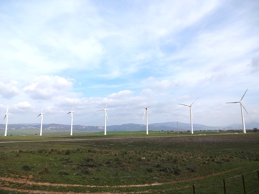 Wiatraki / Wind turbines