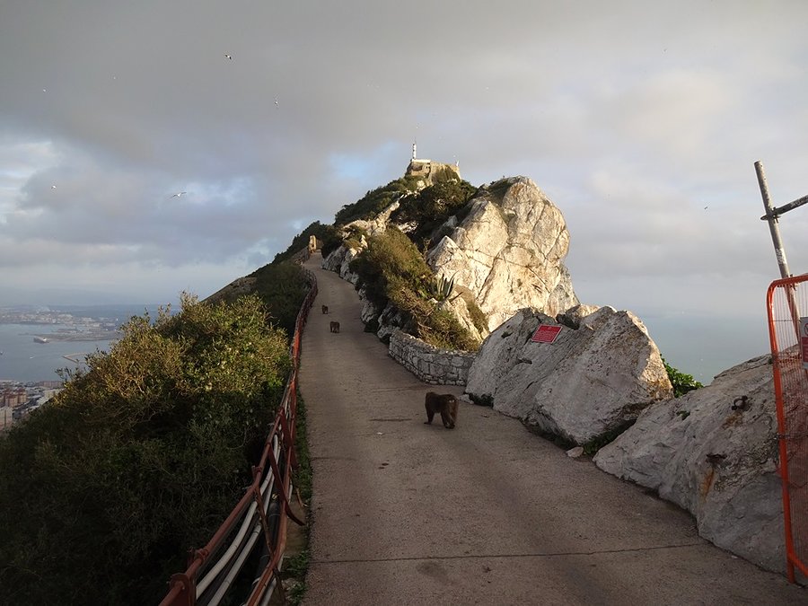 The Rock of Gibraltar