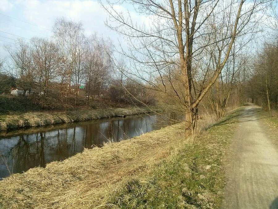 Bulwary Przemszy
