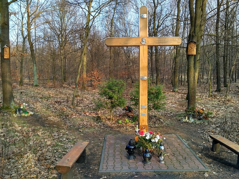Krzyż w okolicach Halemby