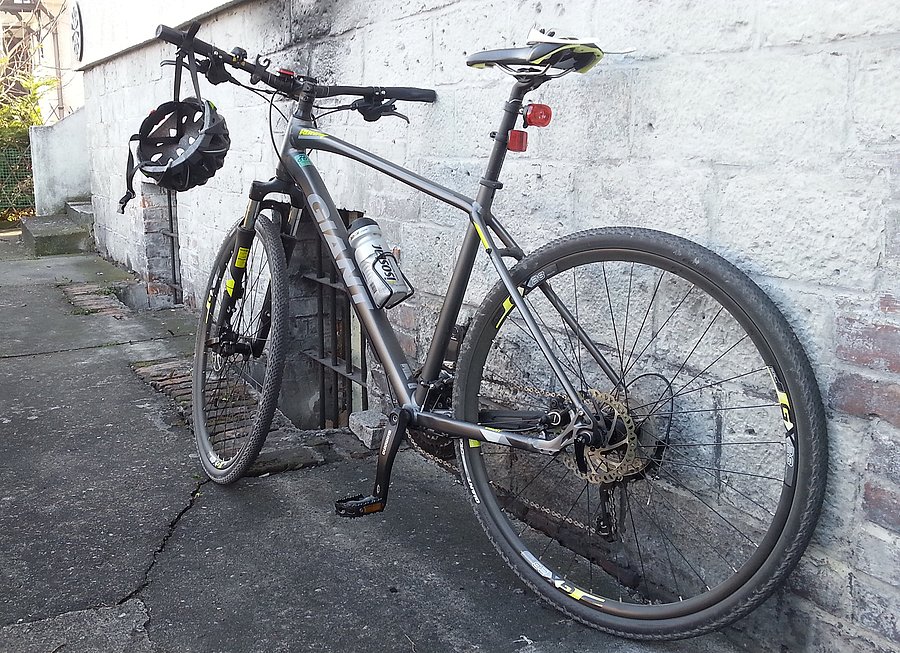 Giant Roam 1