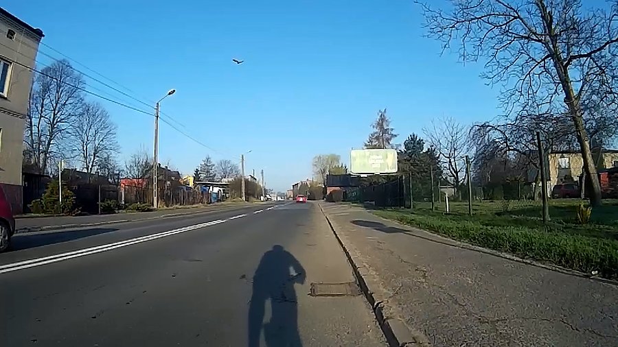 Przeleciał mi ptak