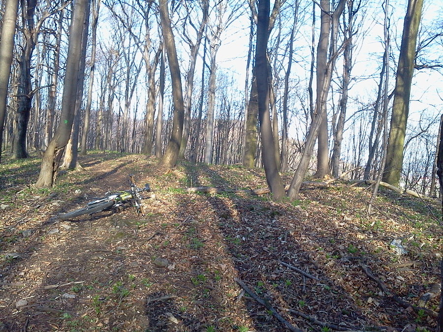 Grodzisko prehistoryczne na Machowej