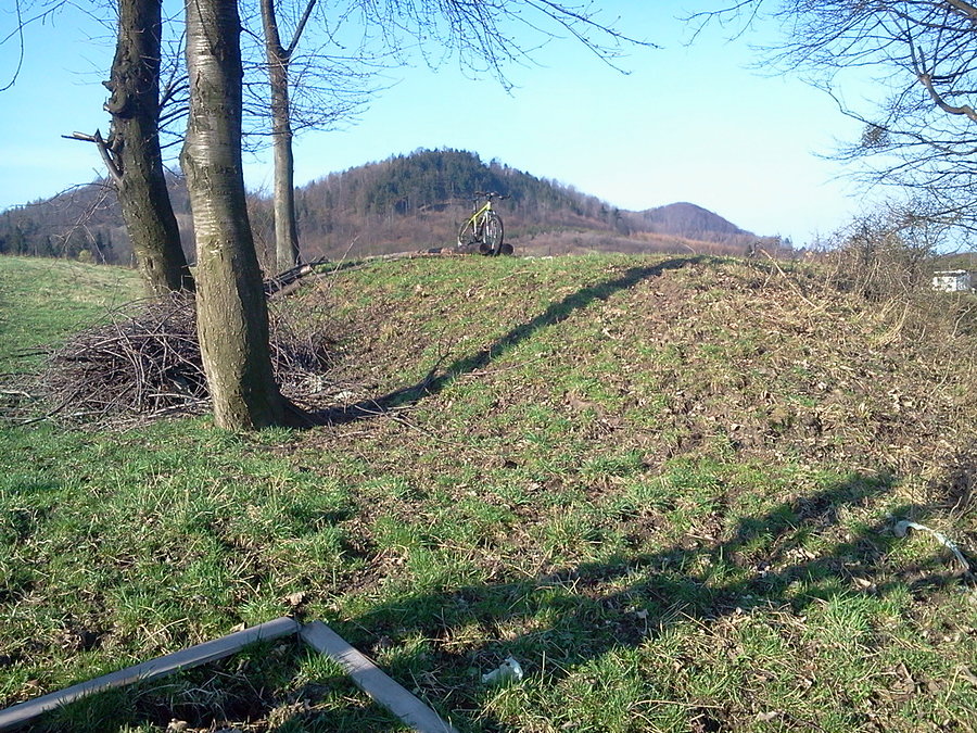 Na łopuce