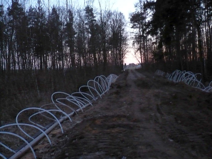 Co oni robią?