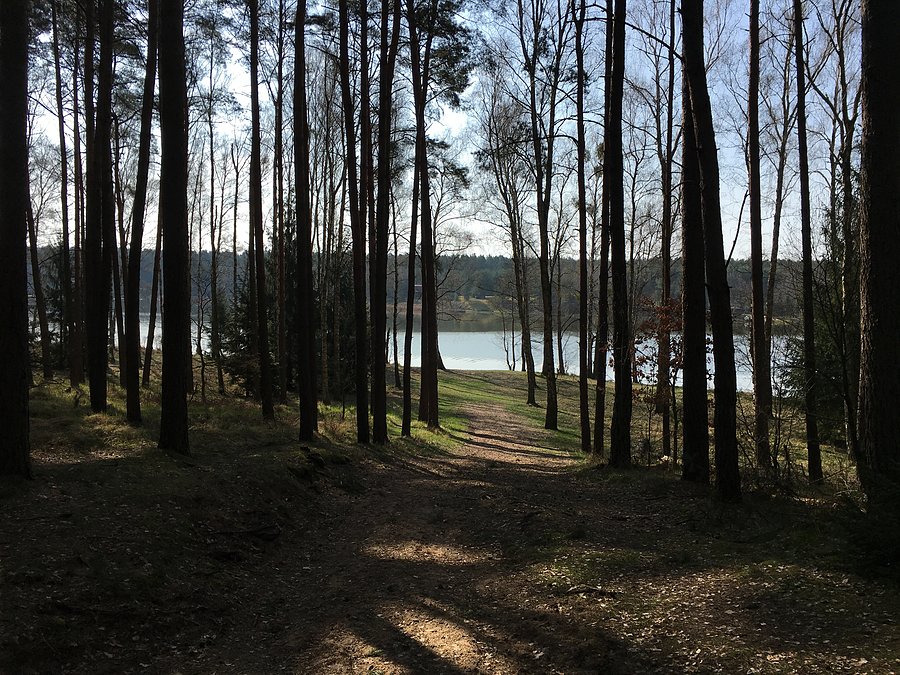 Widok na Jezioro Białe