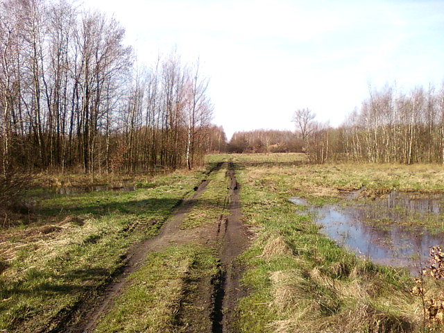 Zalane łąki