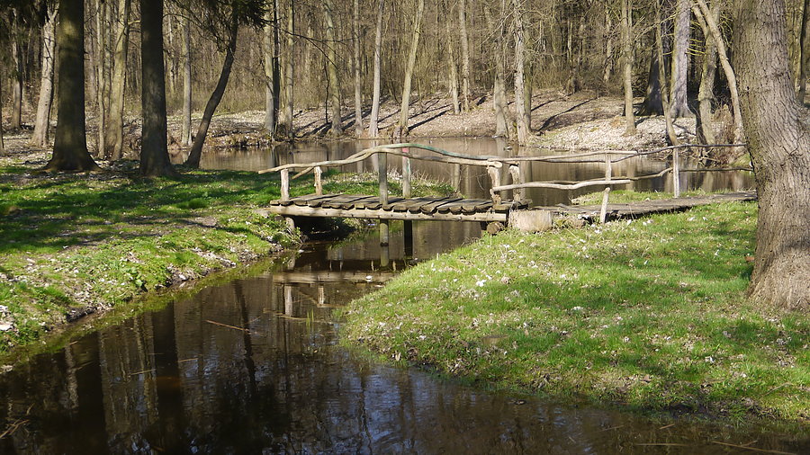 Park w Toporowie