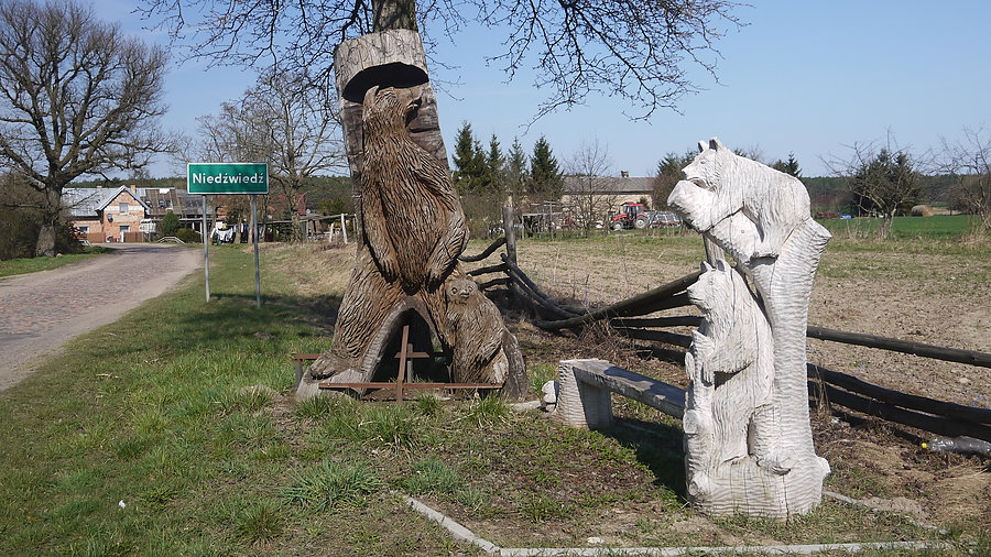 Niedźwiedź w Niedźwiedziu