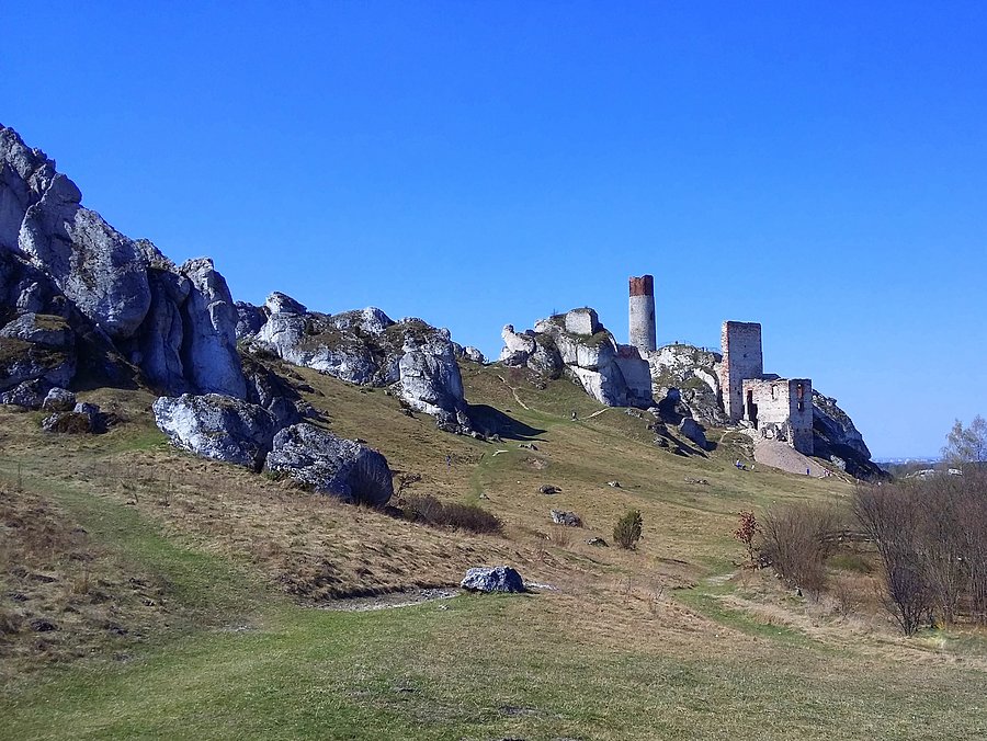 Zamek w Olsztynie