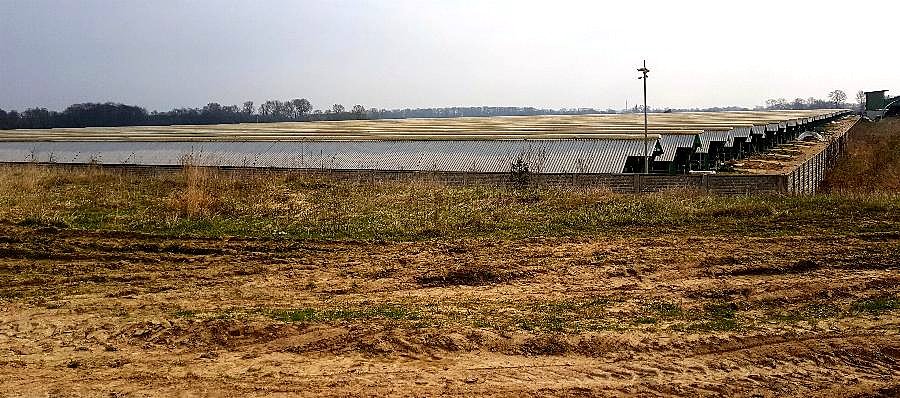 Ferma norek w okolicy Nowej Dąbrowy