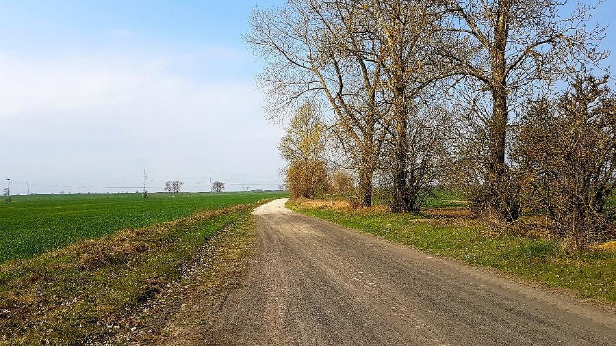 Droga z Grabowa do Małkocina