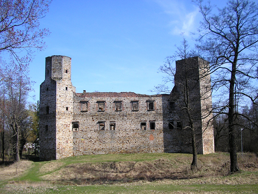 Zamek w Drzewicy