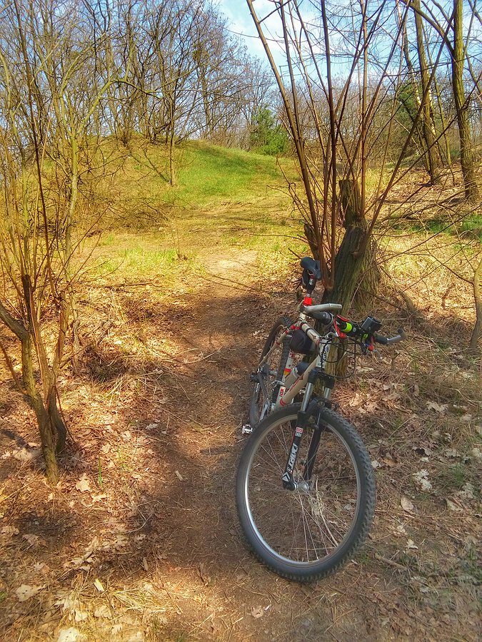Kampinos