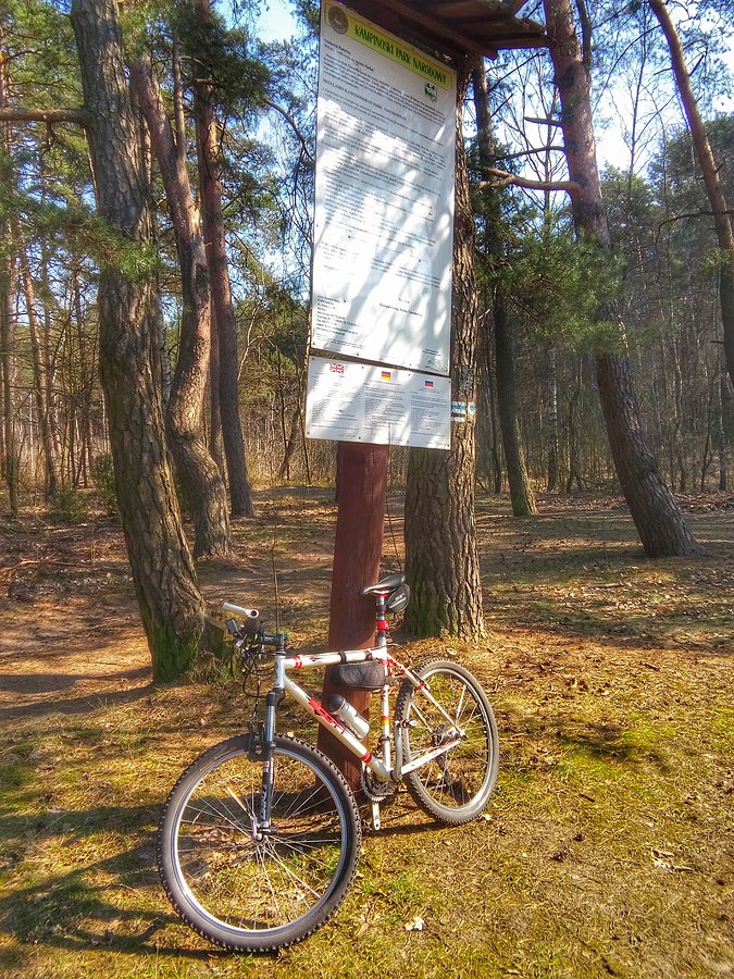 Kampinos