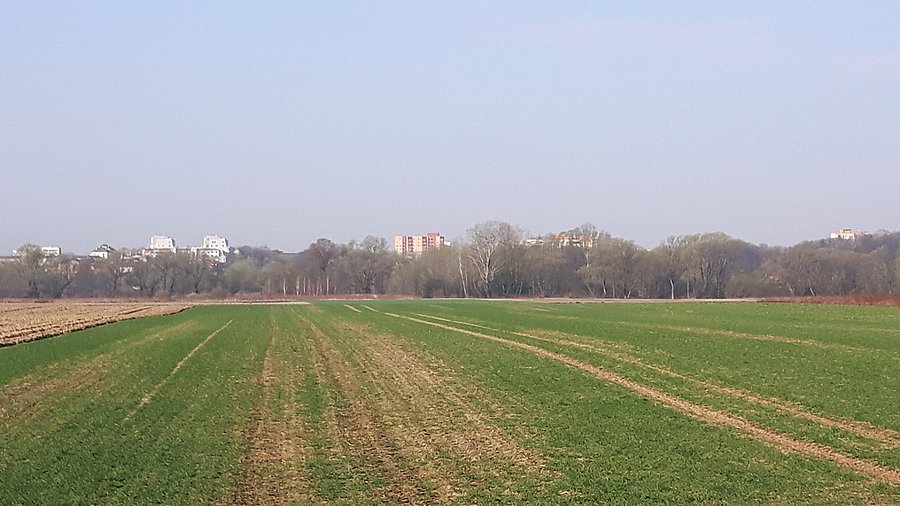 Pola - Las Kabacki - Ursynów