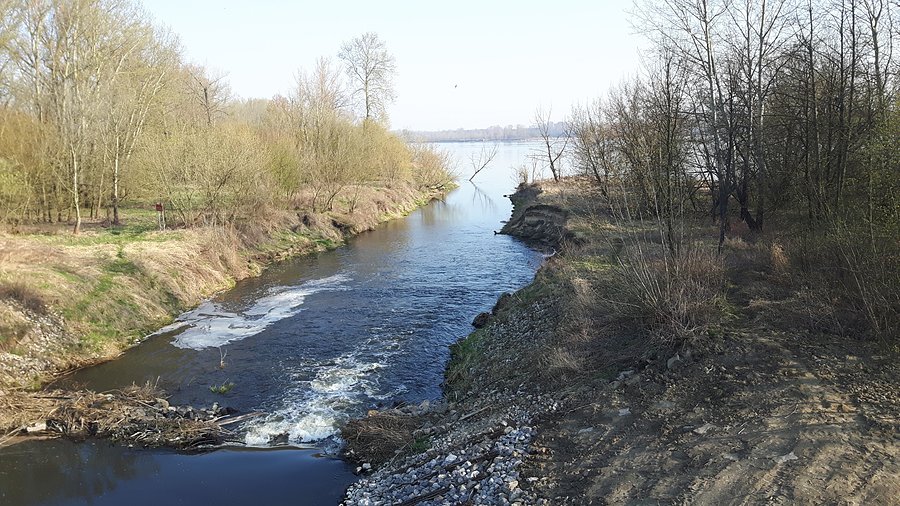 Ujście Jeziorki do Wisły