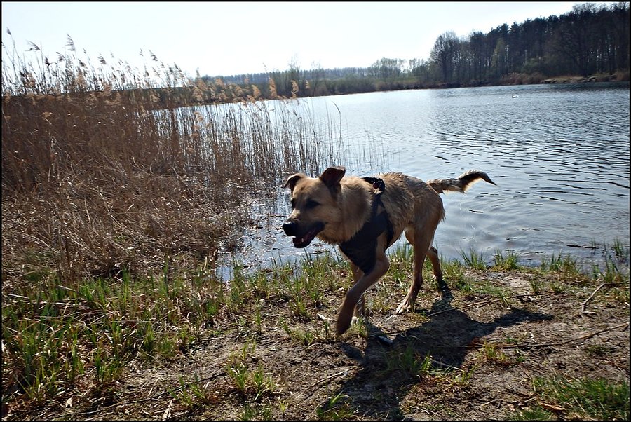 Po pierwszej kąpieli w tym roku