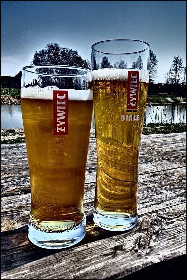 Piwko "pod dębami"