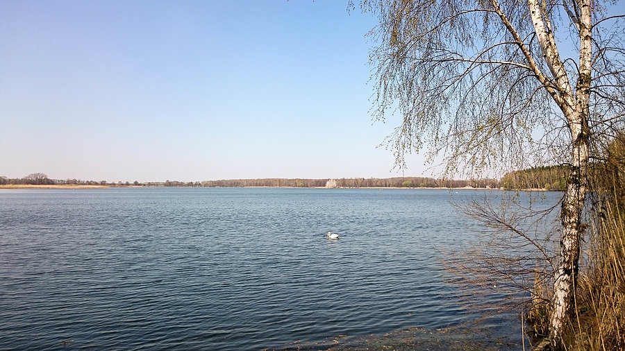 Staw Zabrzeszczak
