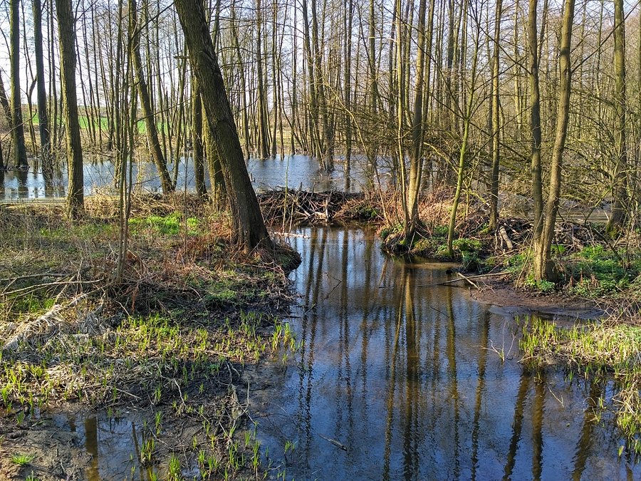 Gdzieś tam za tą wodą, są źródła Rawki