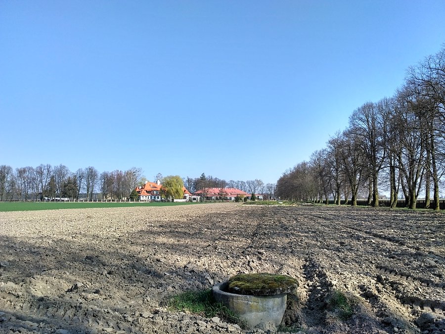 Pałac w Dąbrowie