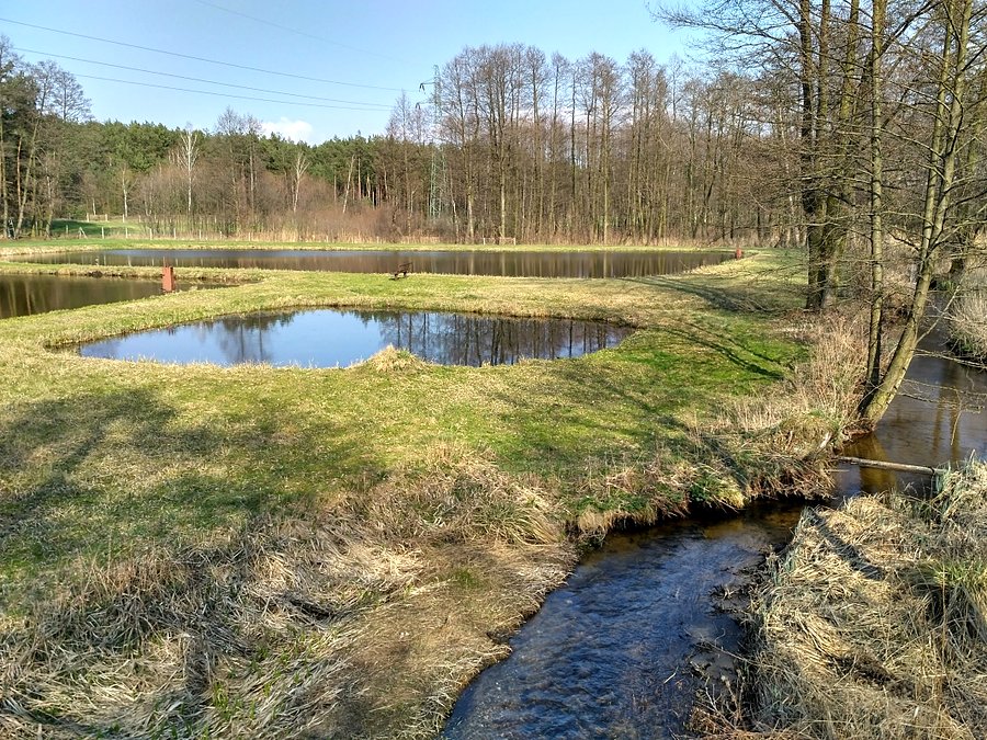 Gdzieś w okolicy będzie baza OrientAkcji