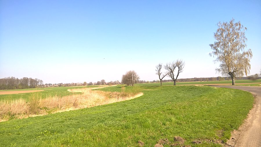 Widoczki