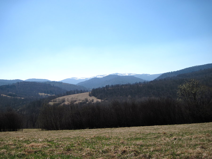 Widać śnieg na połoninach
