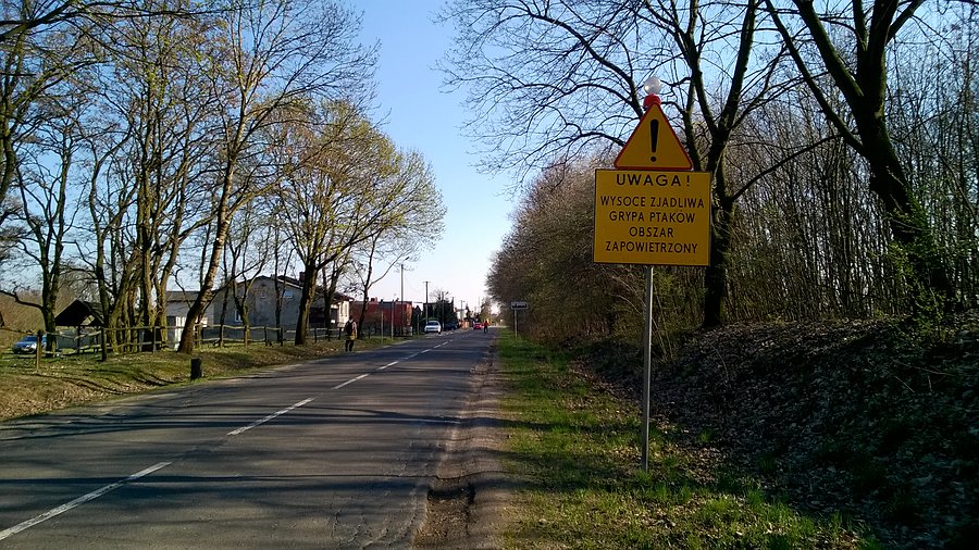 Wysoce zjadliwa grypa ptaków