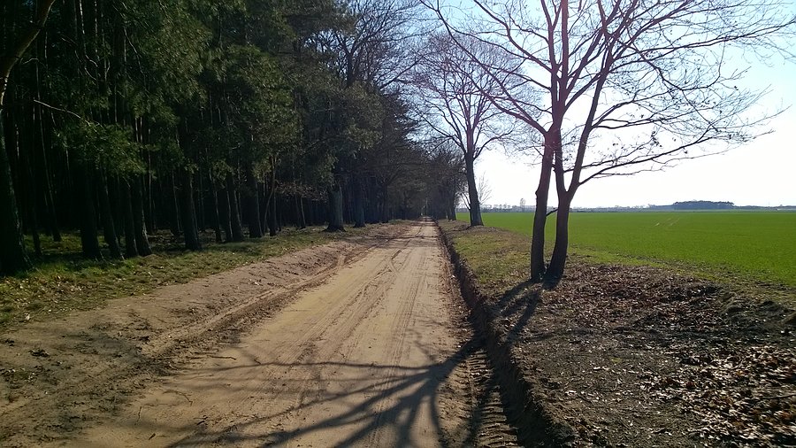 Droga do Stęszewa