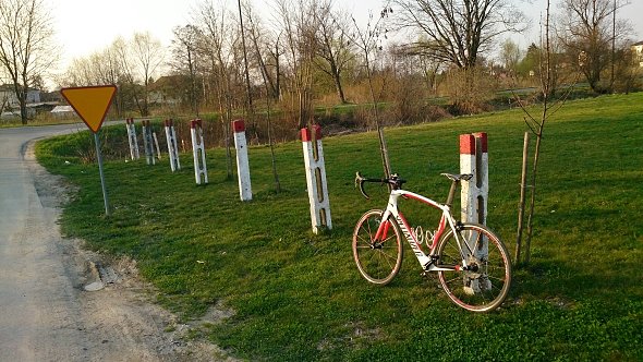 Trawa już zielona
