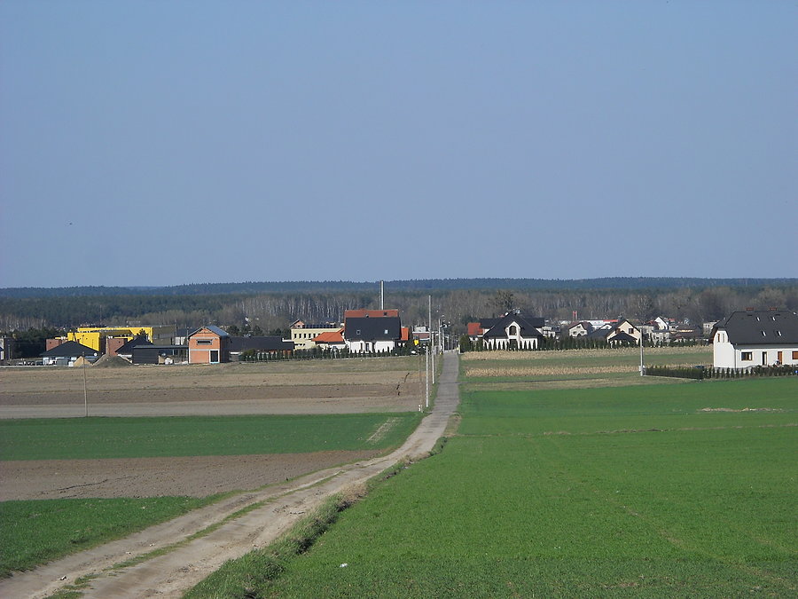 Domki