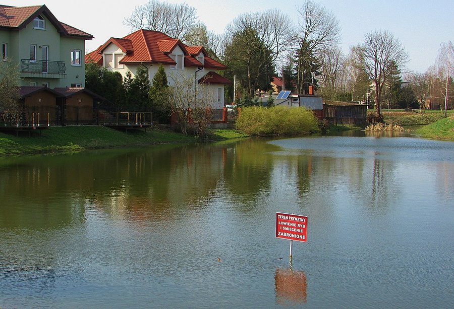 Staw Wąsal