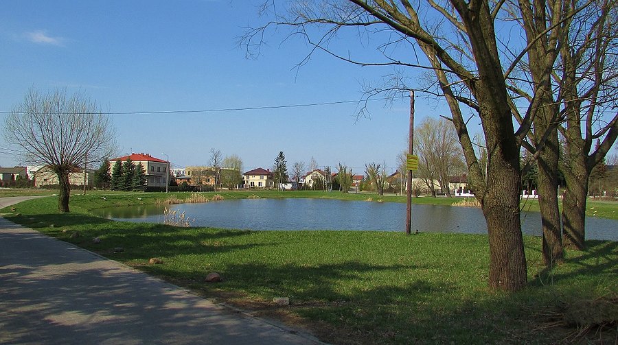 Staw Pozytywka