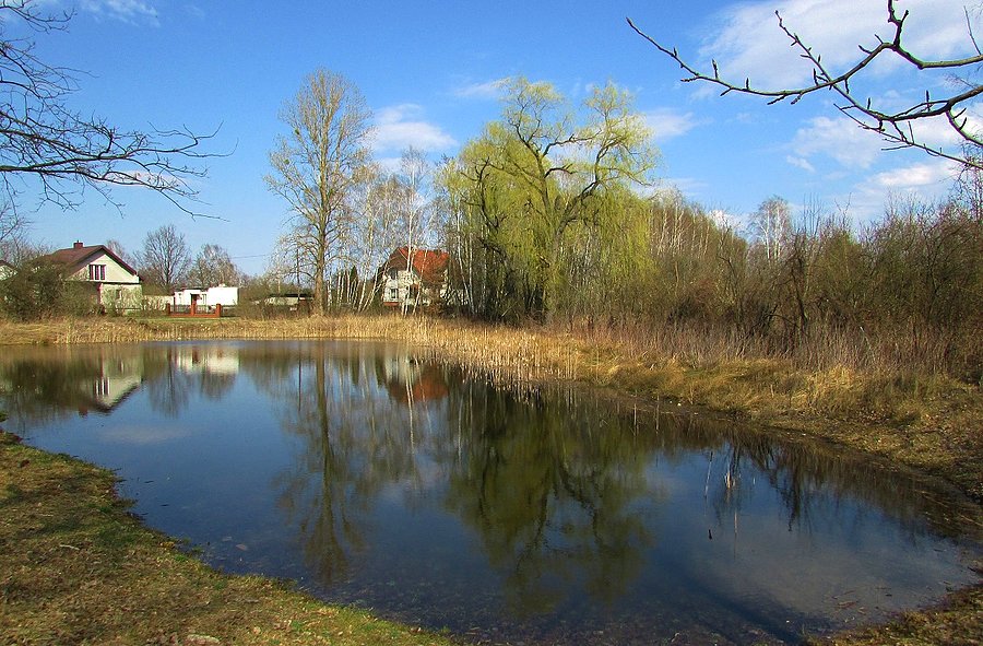 Staw przy Jeziorze Zgorzała