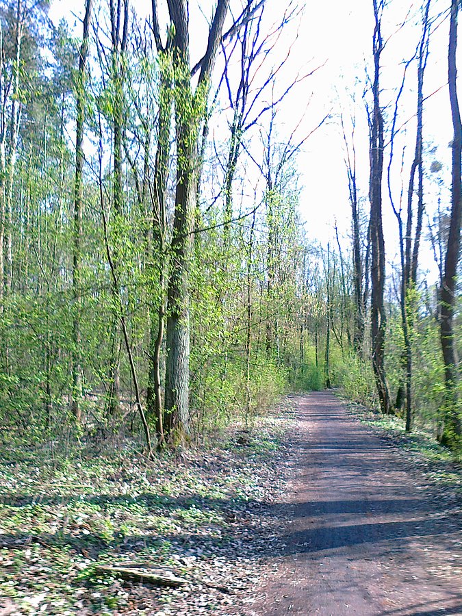 Zielono