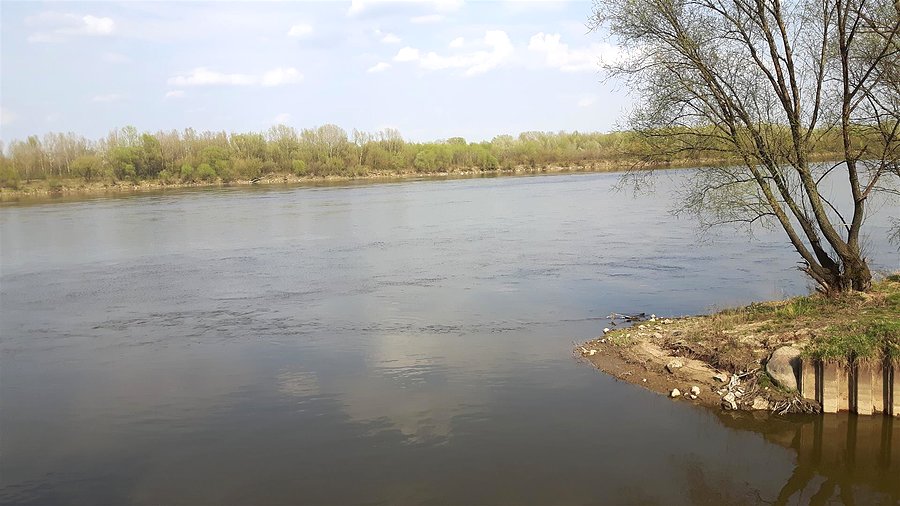 Wisła na Żoliborzu