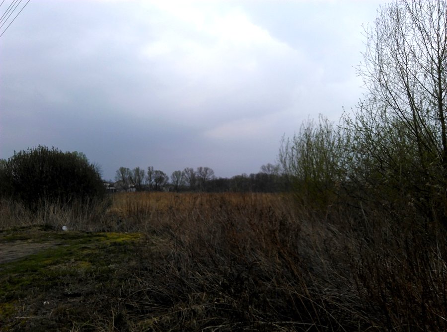 W koło takie czarno niebiańskie widoki (czyt. grzmi)