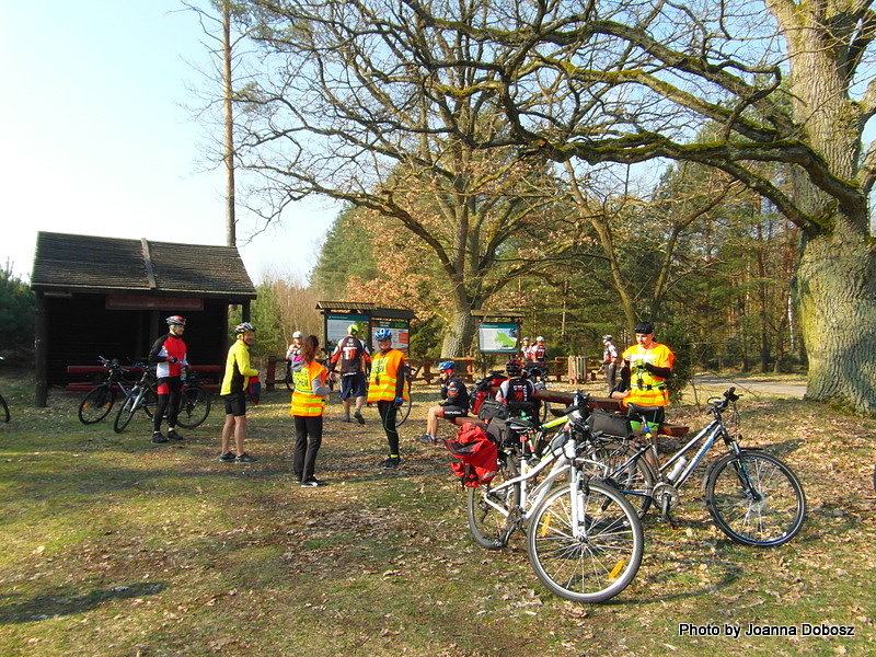 Puszcza Bydgoska