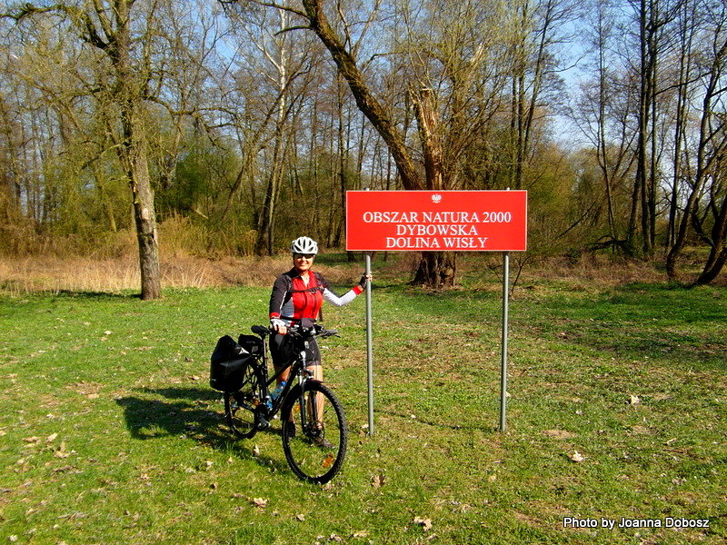 Nad kanałem Zielona Struga