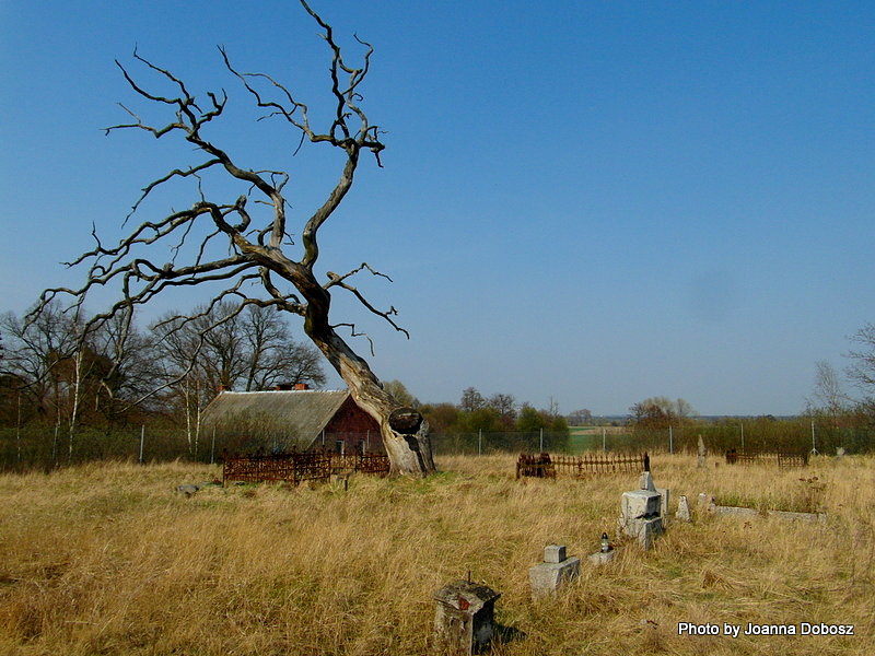 Cmentarz Mennonicki -Przyłubie